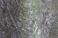 Eynsford fibreglass roof work